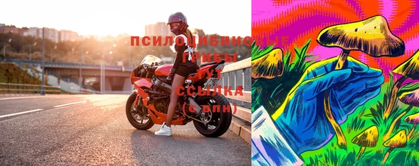 дурь Алексеевка