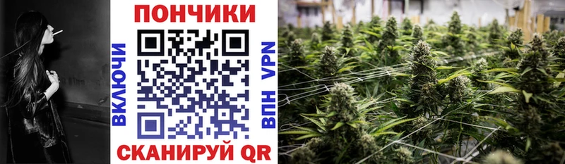 как найти наркотики  Сосенский  Бошки марихуана гибрид 